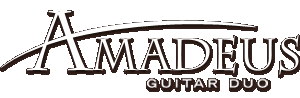 amadeus guitar duo